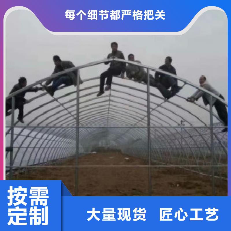 大棚管锅炉管敢与同行比质量采购无忧