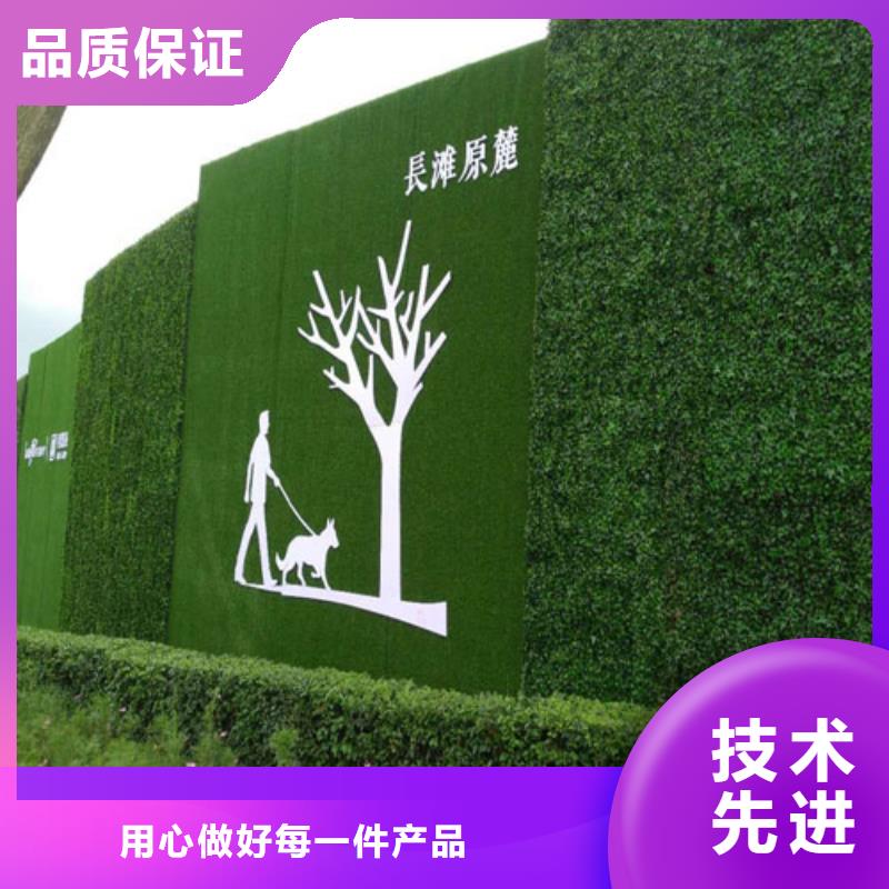 草坪围挡_人工草坪围挡严格把控质量【当地】货源