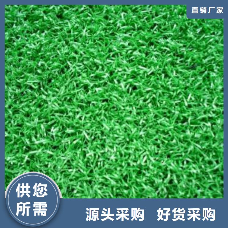 人造草坪塑胶跑道规格齐全当地服务商
