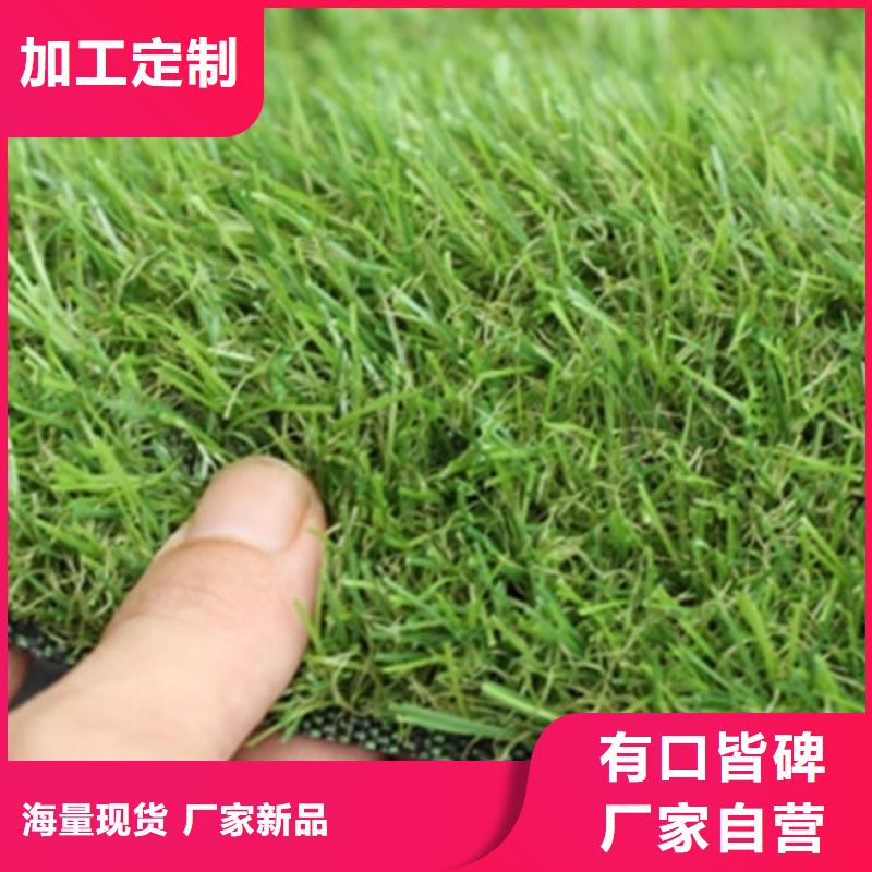 人造草坪_【塑胶跑道】品种全服务周到