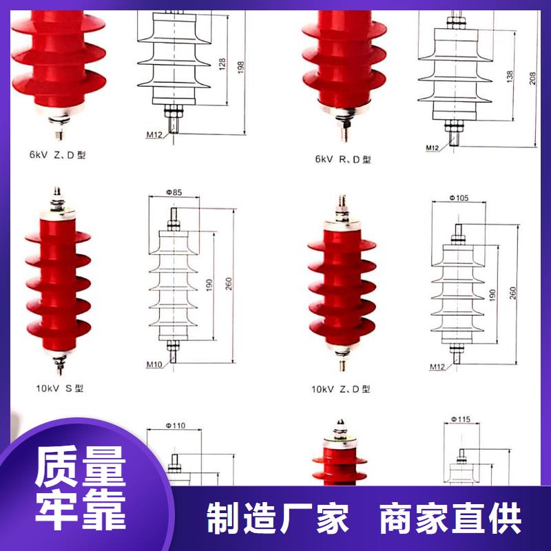 【氧化锌避雷器户外高压真空断路器真诚合作】当地服务商