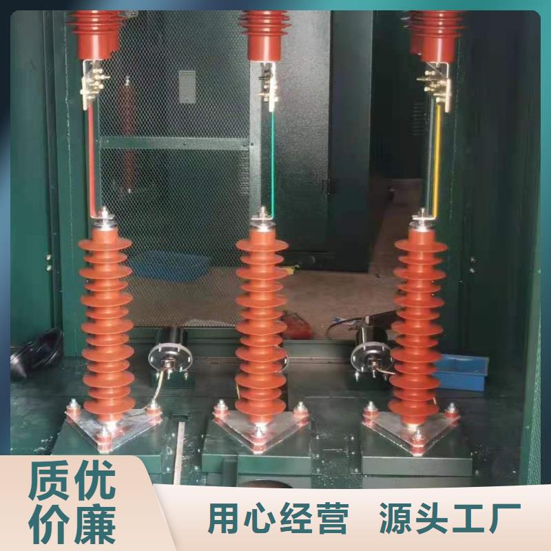 【氧化锌避雷器高压负荷开关诚信厂家】现货销售