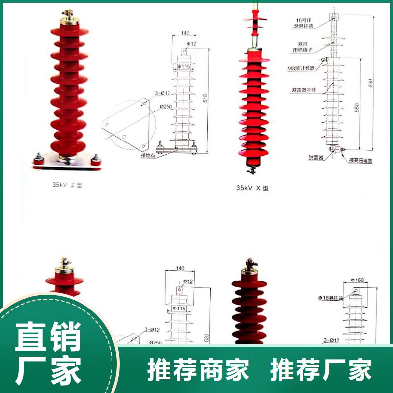 氧化锌避雷器【高压限流熔断器】精心打造专注生产制造多年