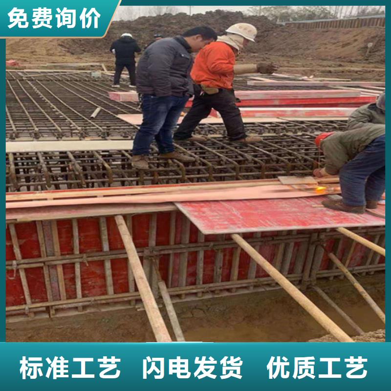 铜排铜片凸结点钢塑土工格栅常年供应自有厂家