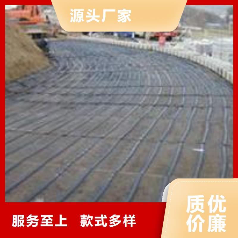 【单向塑料土工格栅】三维复合排水网研发生产销售加工定制