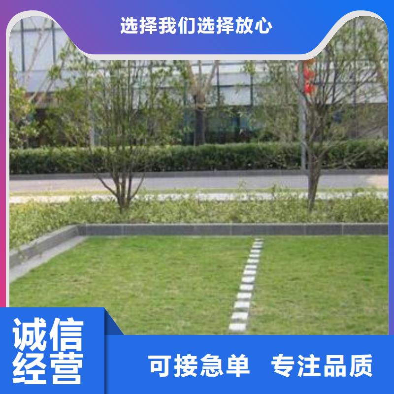 【植草格】PP焊接土工格栅推荐商家一站式厂家