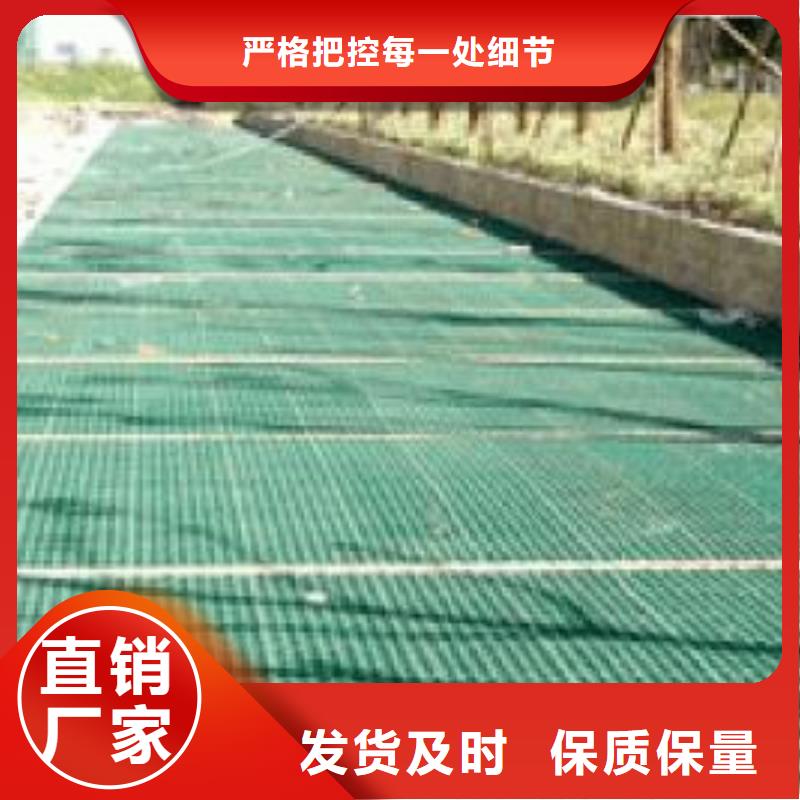 植草格三维复合排水网发货迅速生产加工