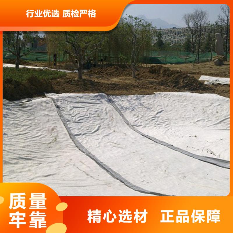 【膨润土防水毯】双向土工格栅量大更优惠N年专注