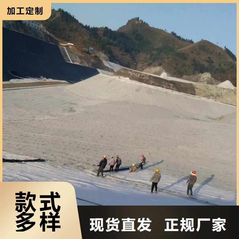 膨润土防水毯_【钢塑土工格栅】订制批发一站式供应