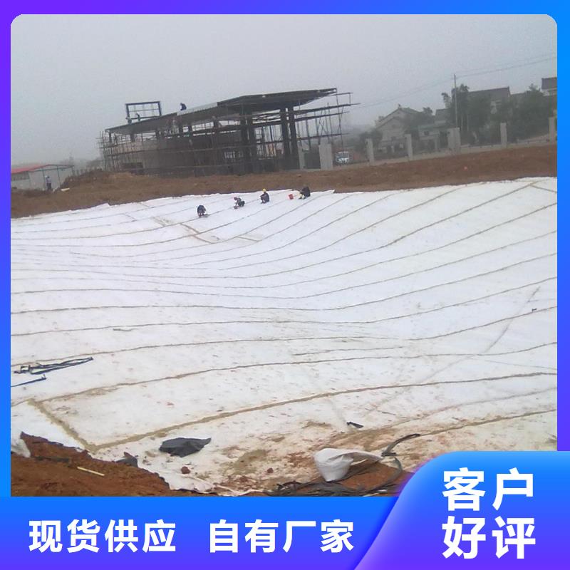 【膨润土防水毯_护坡土工网用好材做好产品】一站式供应厂家