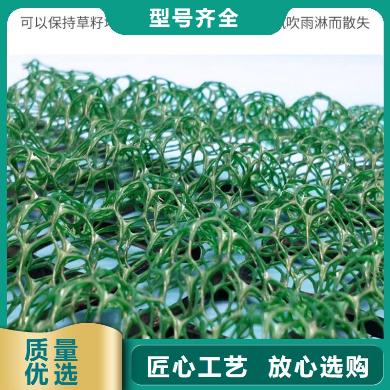 ​三维植被网塑料土工格栅库存丰富厂家直销货源充足