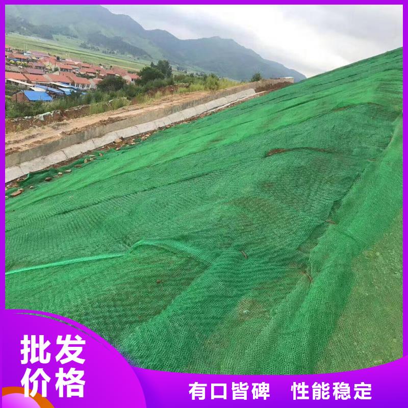 三维植被网【护坡土工网】货源足质量好当地货源