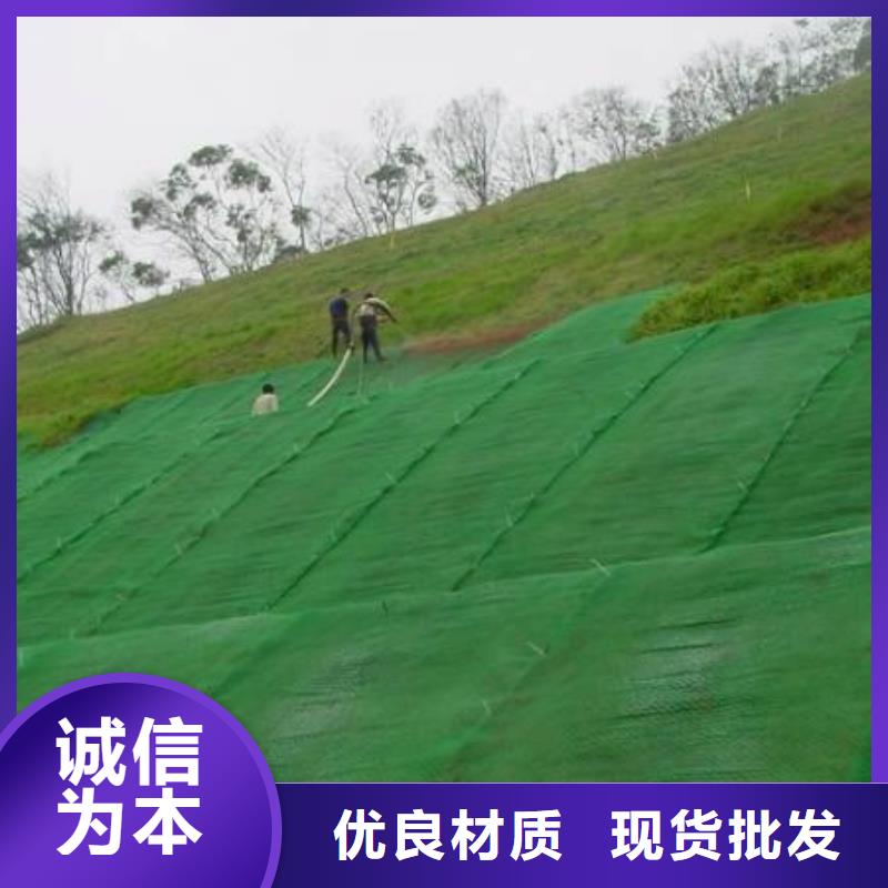 三维植被网【玻纤土工格栅】品质可靠当地货源