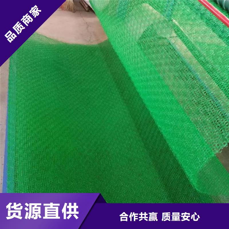 【三维植被网,pp焊接土工格栅工艺成熟】品质过硬