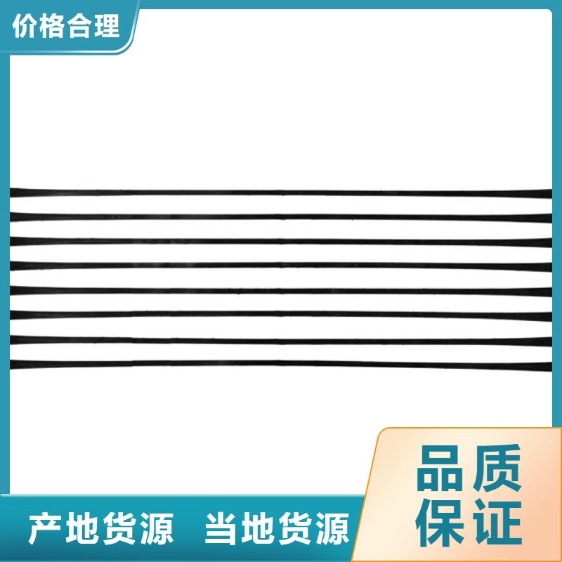 单向拉伸塑料格栅三维复合排水网采购批发货源