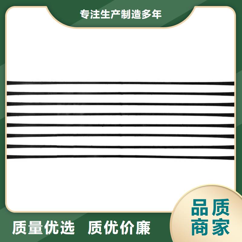 【单向拉伸塑料格栅护坡土工网现货充足量大优惠】本地厂家