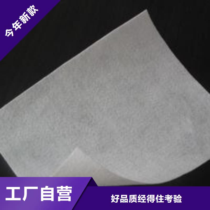 【土工布】双向塑料土工格栅品牌企业大品牌值得信赖