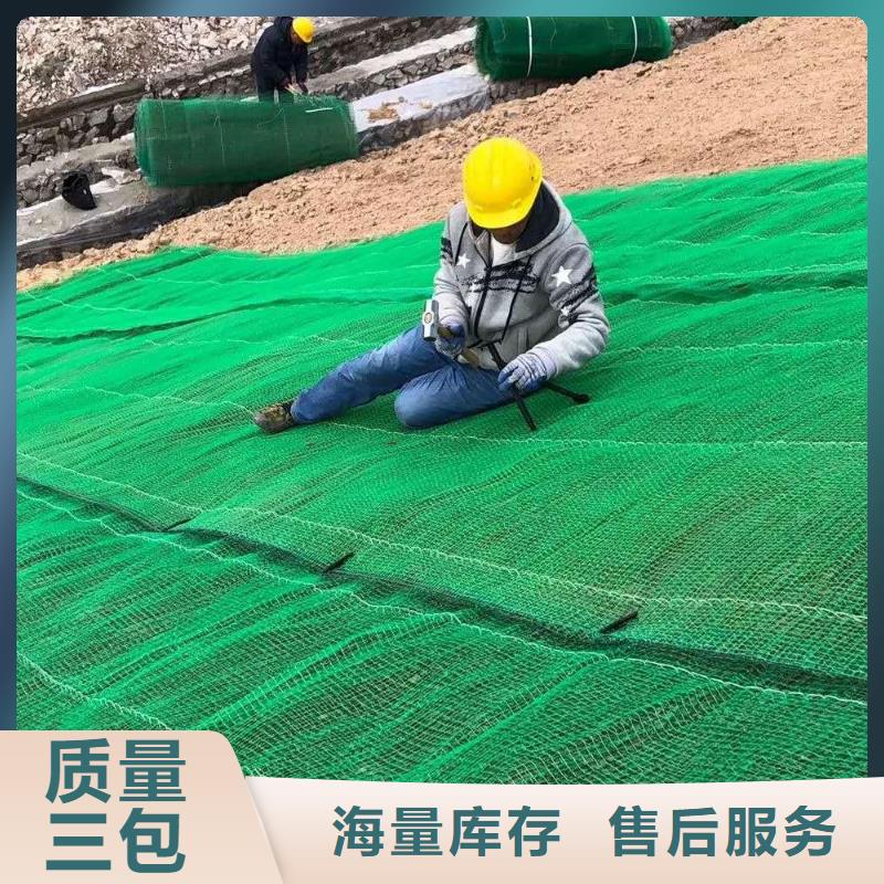 三维植被网PP焊接土工格栅高性价比精工打造