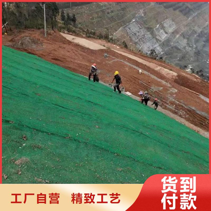 三维植被网_三维土工网垫货源报价本地生产商