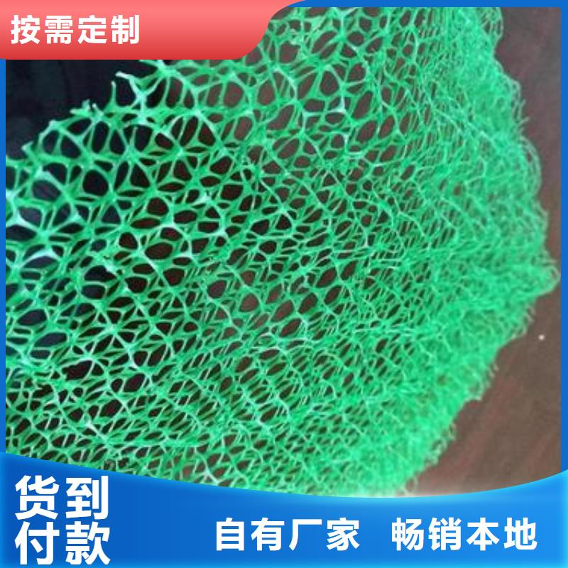 三维植被网水土保护毯高性价比一致好评产品