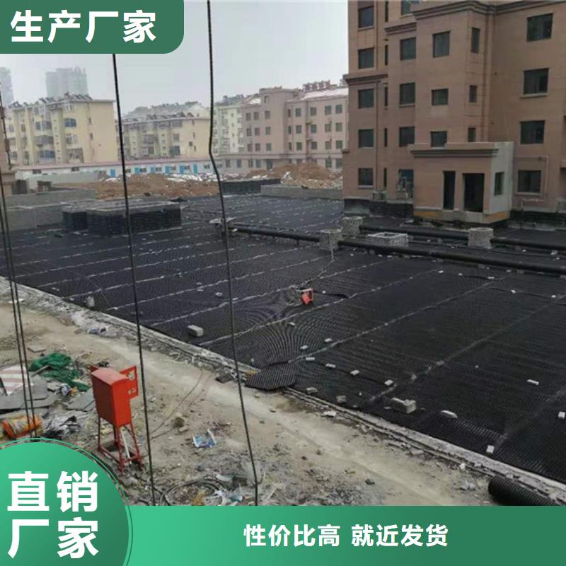 塑料排水板玻璃纤维土工格栅核心技术当地品牌