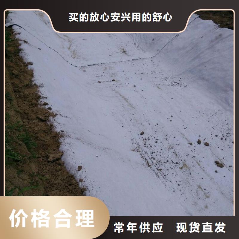 防水毯,【钢塑土工格栅厂家】精工打造同城生产厂家