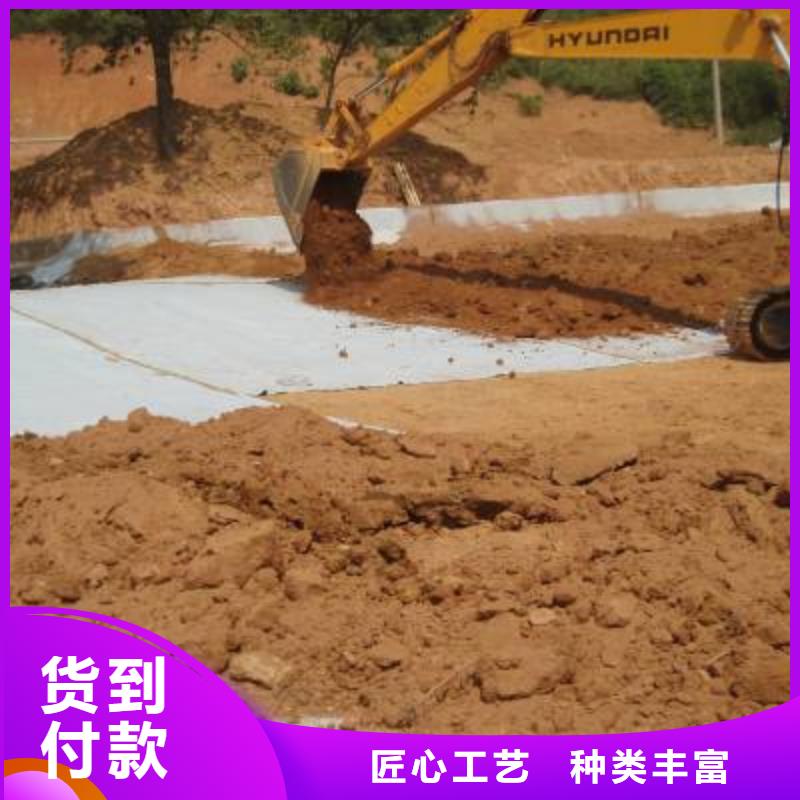 【防水毯】-双向塑料土工格栅源头厂家直销同城货源