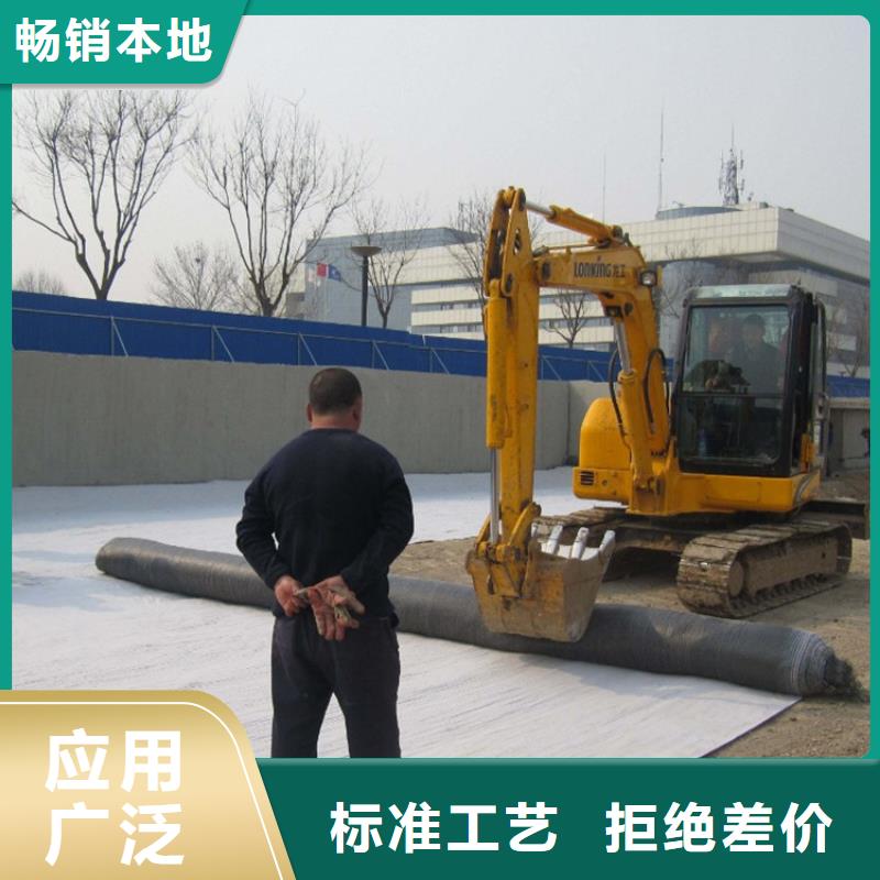 防水毯玻纤土工格栅定制定做专心专注专业