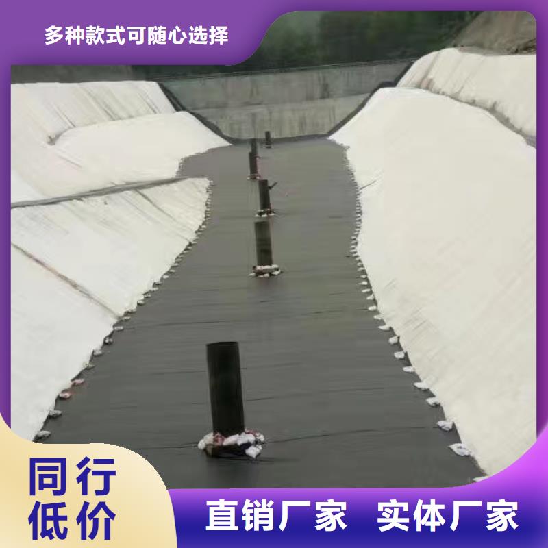 土工膜涤纶土工格栅厂家销售精工打造