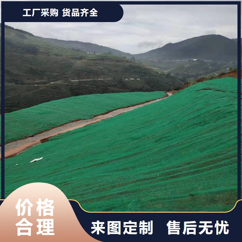 三维植被网_【钢塑土工格栅厂家】把实惠留给您产品细节参数