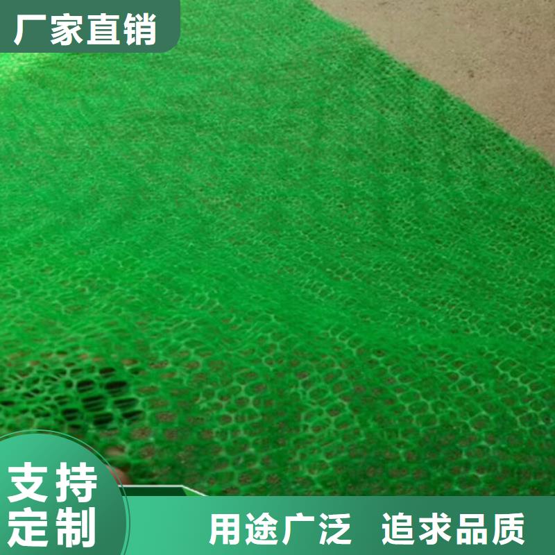 三维植被网玻纤土工格栅品质不将就附近经销商