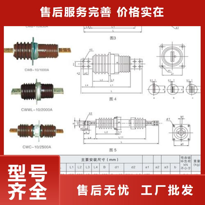 CWWC-35/400陶瓷穿墙套管樊高值得信赖