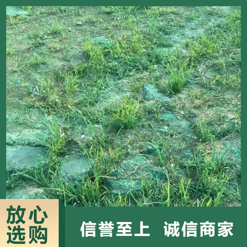 生物酶抑尘剂优质原料使用方法