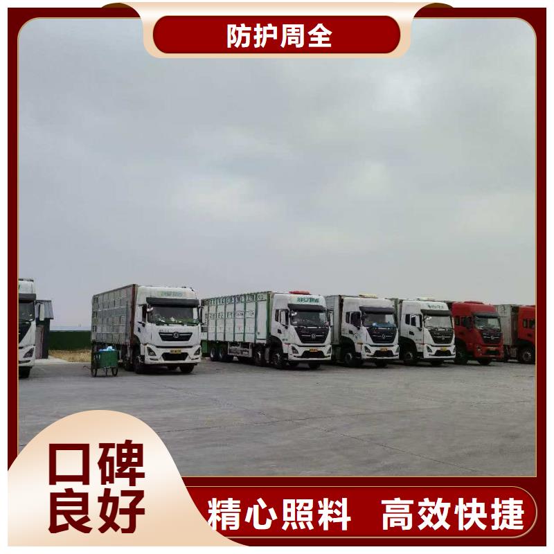 宿迁市沭阳到散装料专用车安静舒适实力工厂