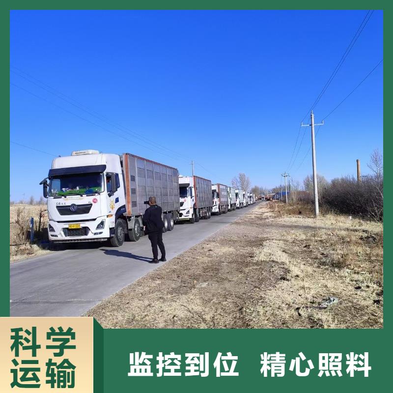 宿迁市到畜禽运输应急型号齐全