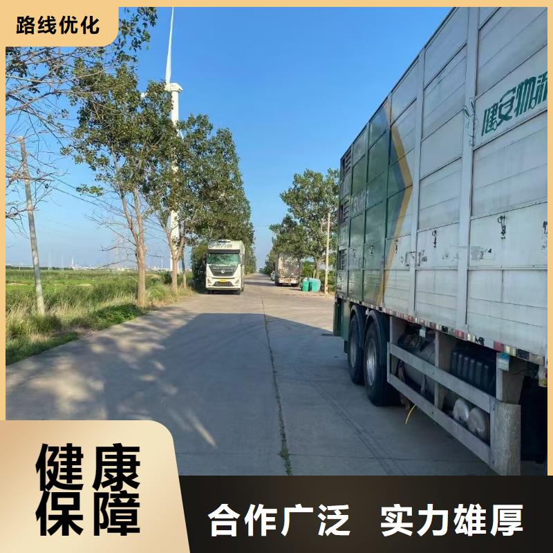 宿迁市沭阳到畜禽物流科学运输做工精细