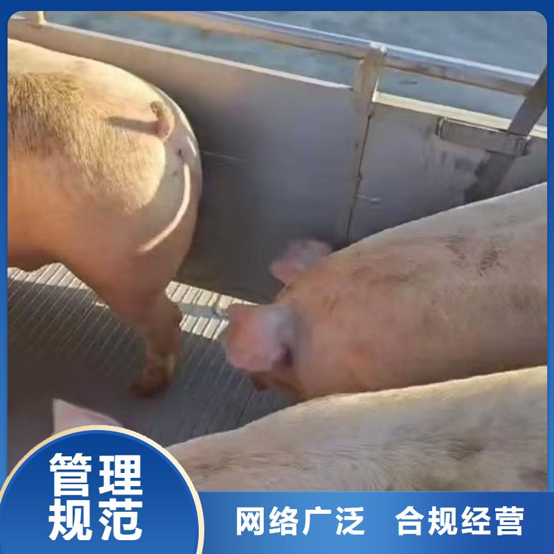 宿迁市泗洪到空调车运输应急优选货源