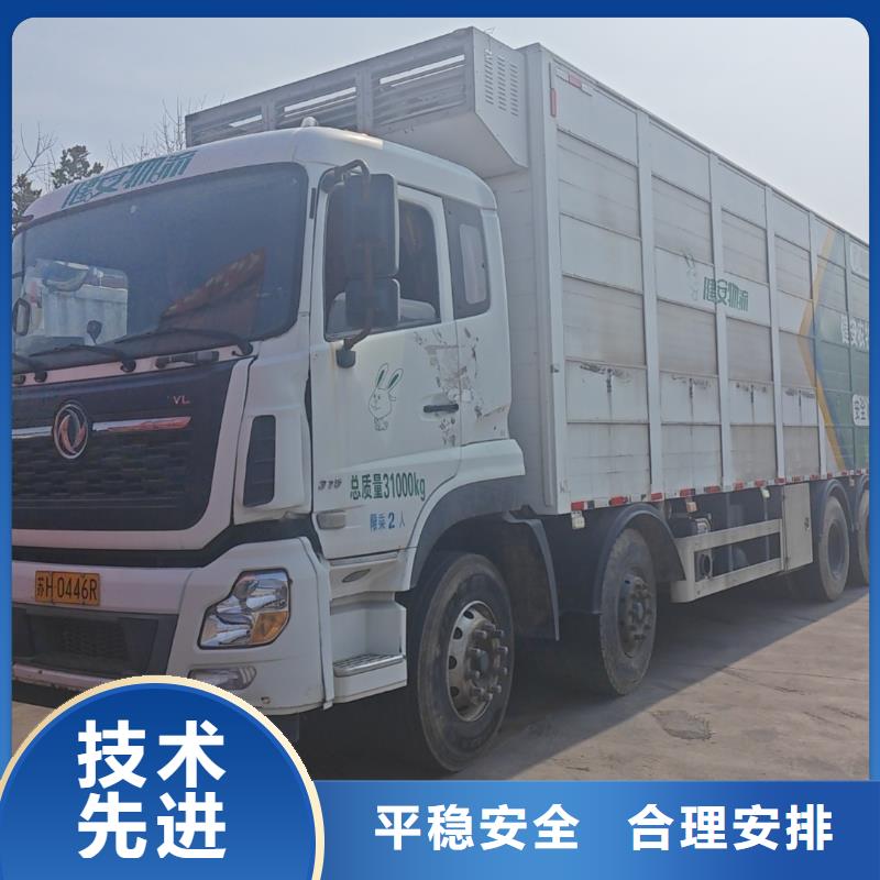 宿迁市泗阳到生猪空调车运输妥善安置支持批发零售