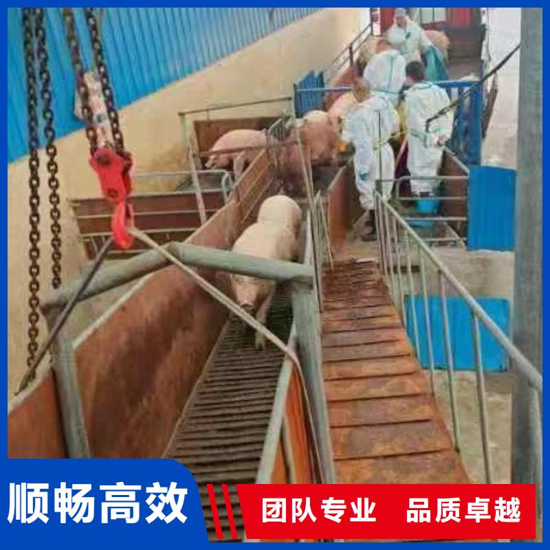 新乡到活禽物流合作广泛拥有核心技术优势
