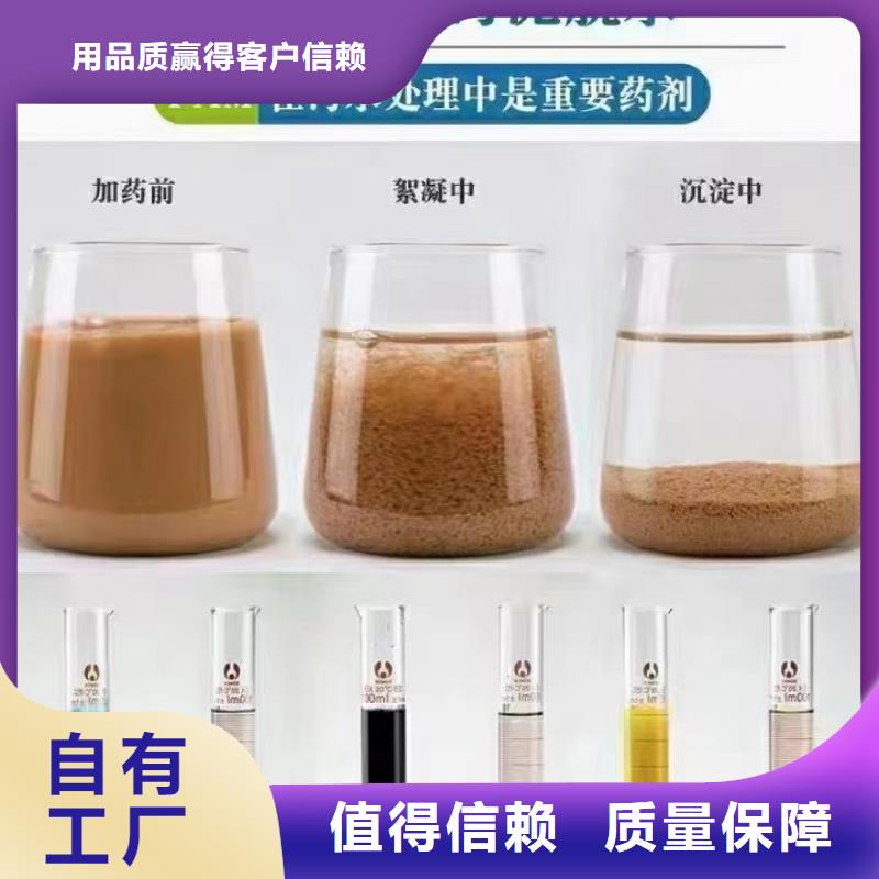 酰胺净化先锋当地制造商