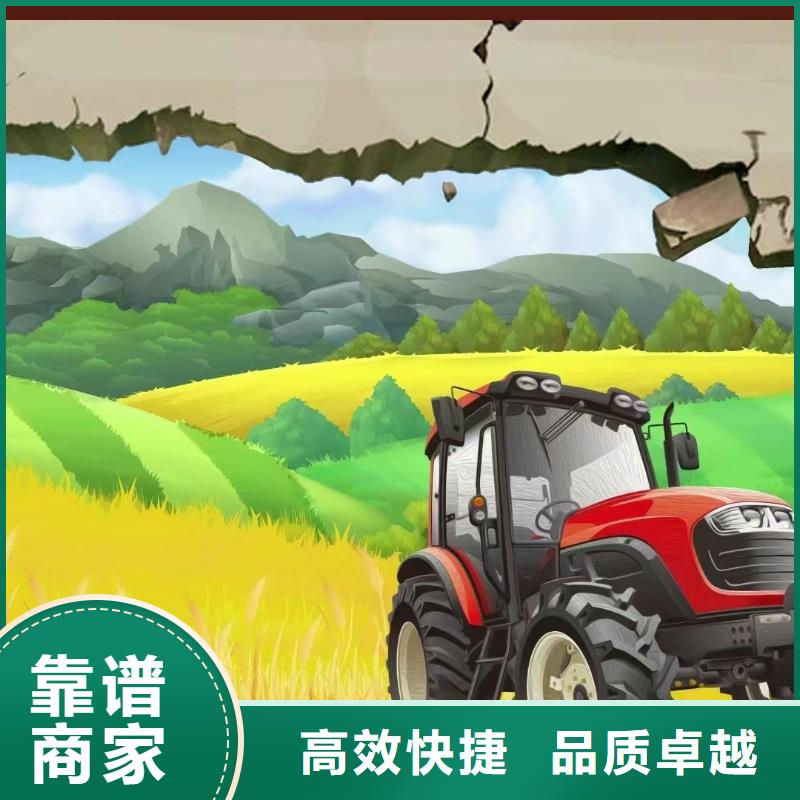 ​舟山专业墙绘幼儿园彩绘手绘先进的技术墙绘文化墙彩绘浮雕手绘本地供应商