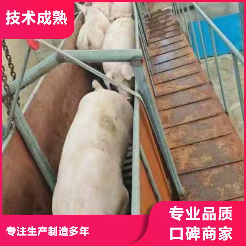 泗阳到农牧运输-空调车正规公司符合标准