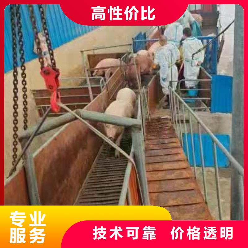 徐州到活禽物流-专用车全程呵护快速发货