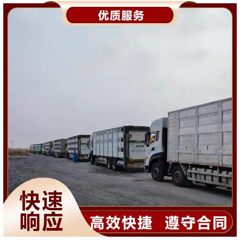 沭阳到猪只运输专用车-恒温车省钱省时当地供应商