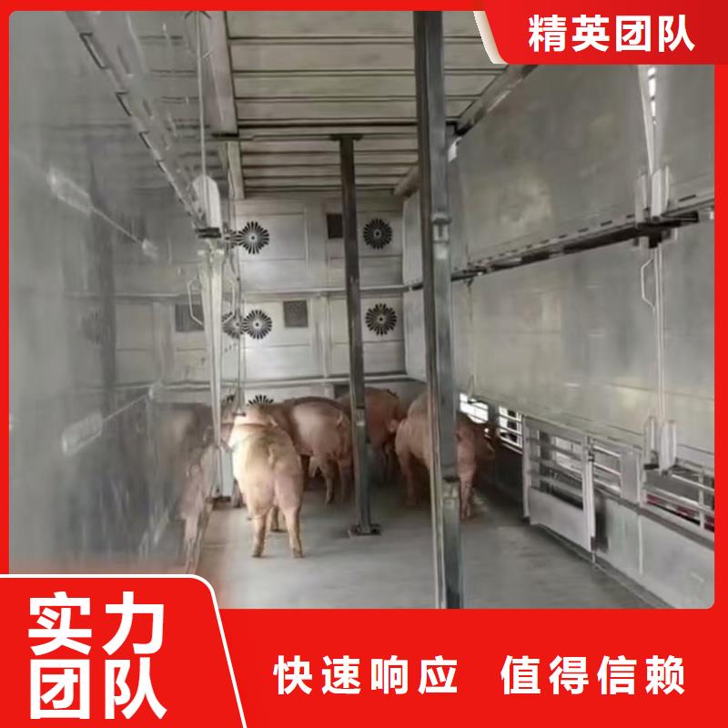 宿迁市沭阳到活禽物流-空调车方便快捷多种规格供您选择