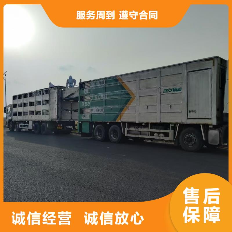 崇安到猪牛羊运输恒温车当地品牌