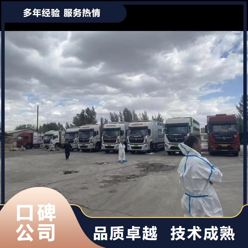宿迁到仔猪运输-专用车解决方案畅销本地