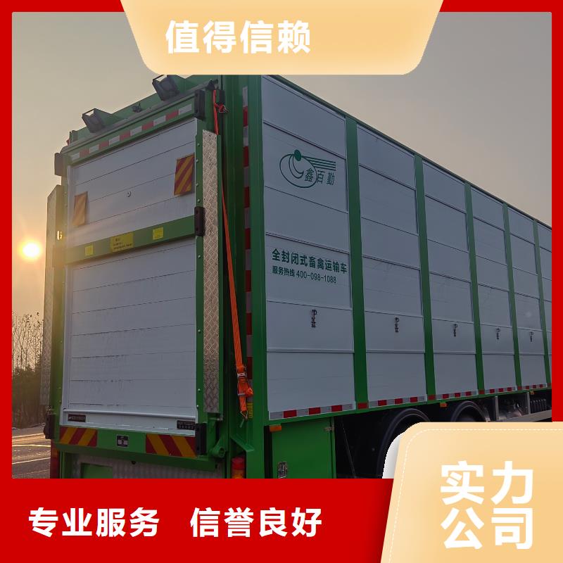 /FL26377554.html