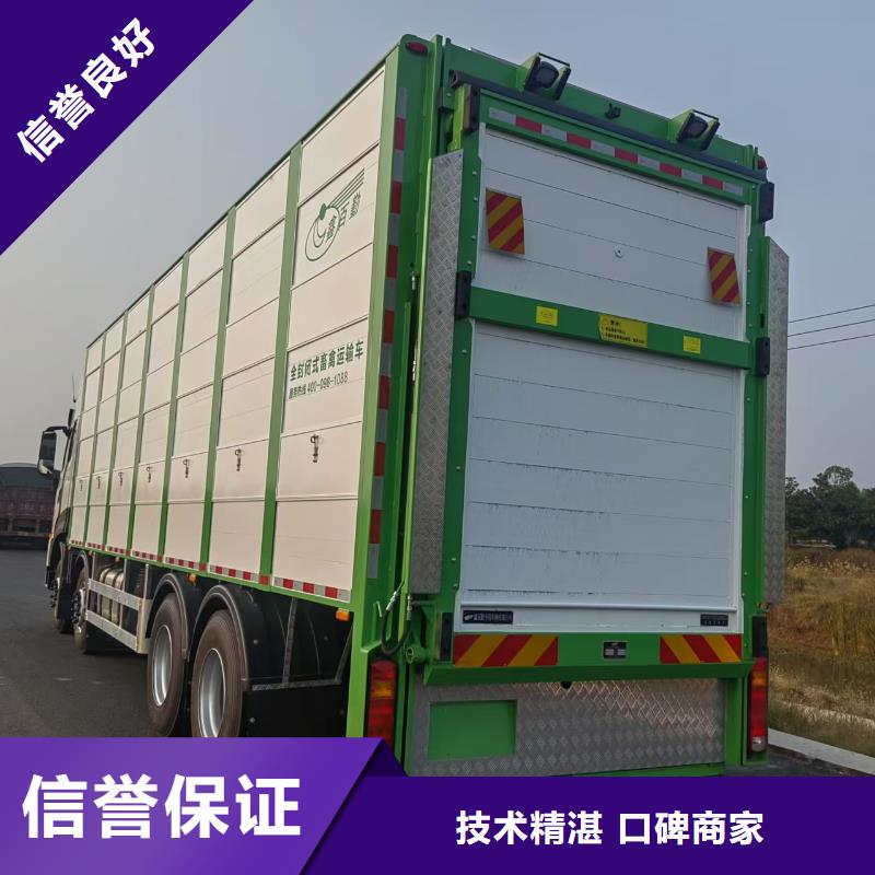 泰州到活禽运输-恒温车信誉良好质量可靠