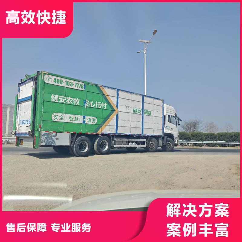 宿迁到生猪运输空调车舒适自在质量层层把关